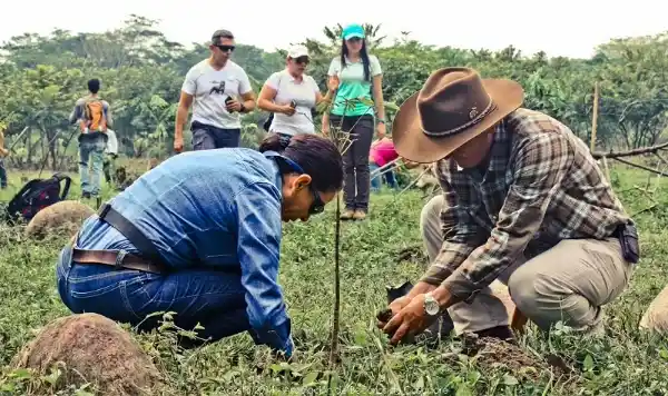 campesinos haciendo la restauración ecológica