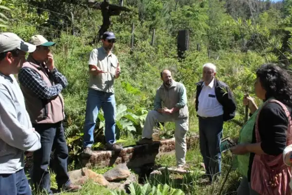 Restauración ecológica como estilo de vida