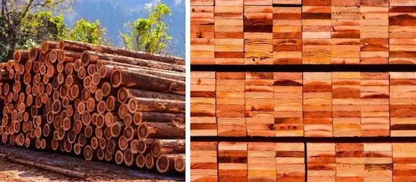 madera cedro