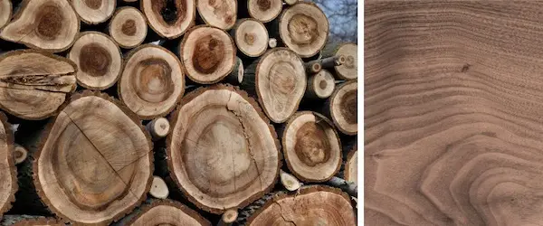 madera nogal