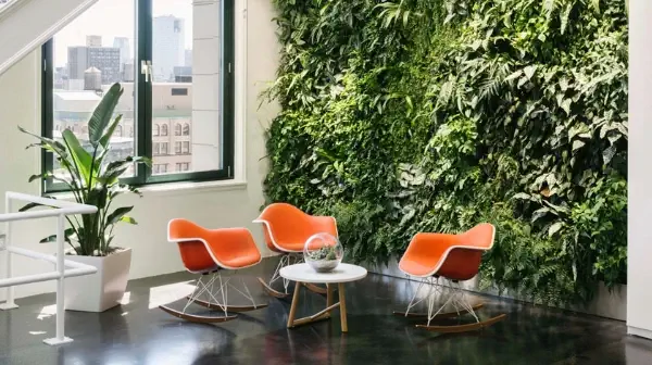 Beneficios del diseño biofílico en el hogar y la oficina
