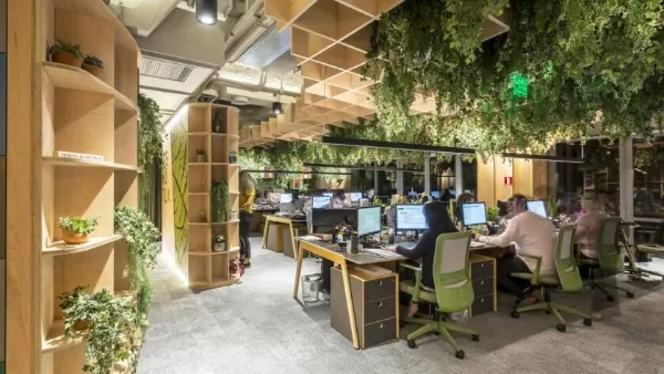 Diseño biofílico Cómo incorporar plantas y naturaleza en tu hogar