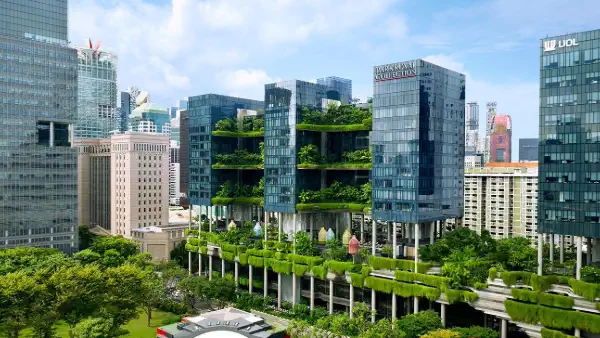 Arquitectura verde Cómo incorporar plantas sin dañar el medio ambiente
