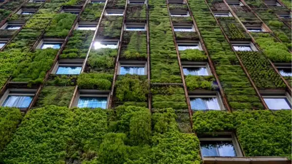 Beneficios de incorporar plantas en la arquitectura verde