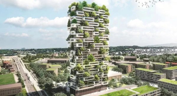 Cómo incorporar plantas sin dañar el medio ambiente