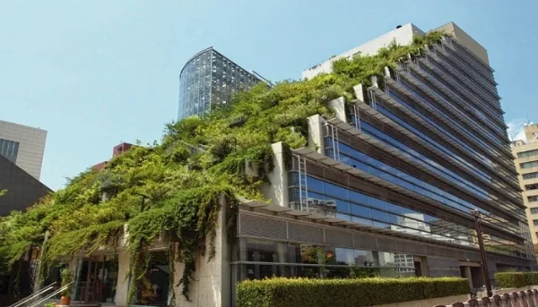 ¿Qué es la arquitectura verde?