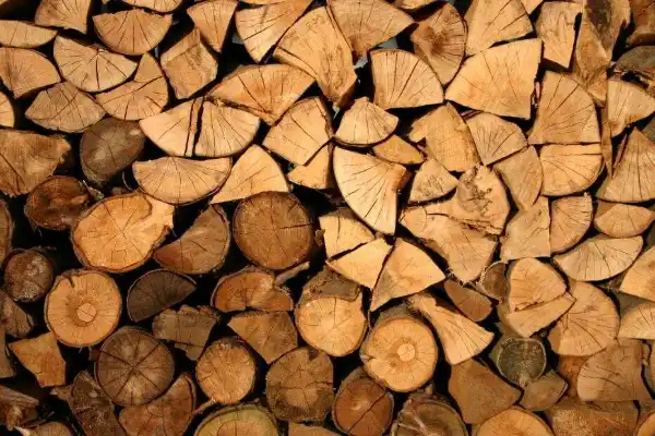 5. Madera