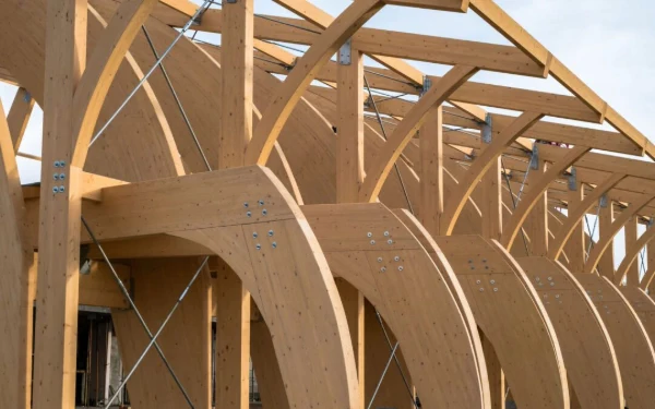 Consejos para elegir madera certificada