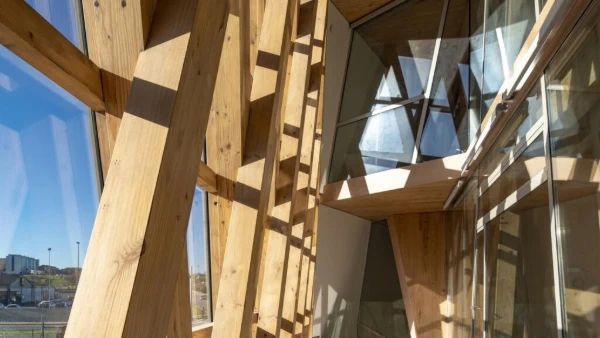 Madera certificada Qué es y cómo funciona