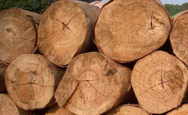 ¿Cómo identificar la madera certificada?