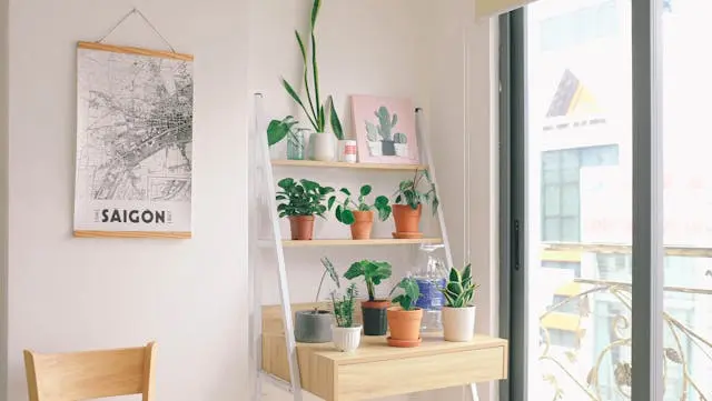 Estantes de madera para plantas