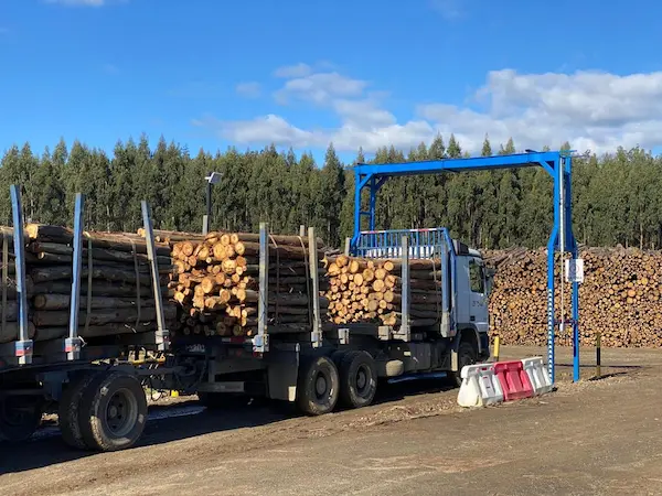 transporte madera chile conclusión