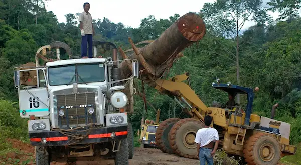 Tecnología aplicada al transporte de madera
