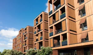 ¿Qué son los edificios de madera y que tipos existen