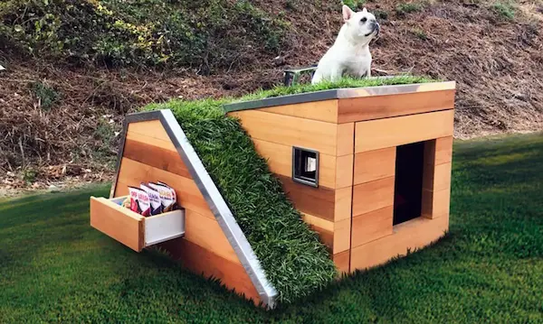 construcción de casas de madera con patio para mascotas