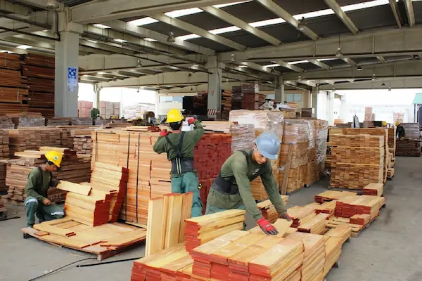 Tendencias futuras en el comercio de madera