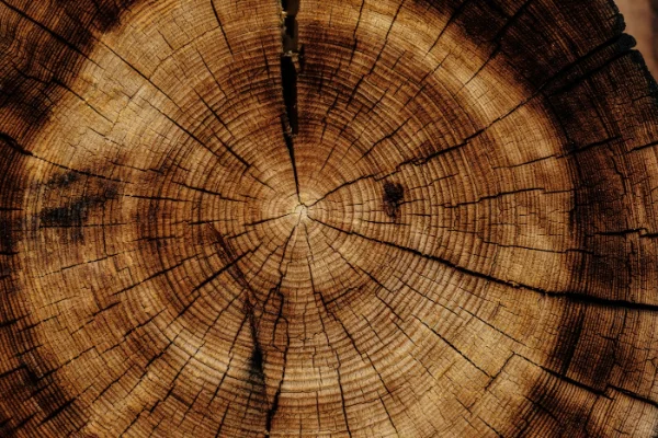 Losa de madera con vetas naturales