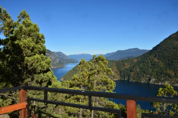 Paisaje de bosques y montañas del sur